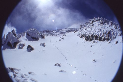 1996_Teide_015.jpg