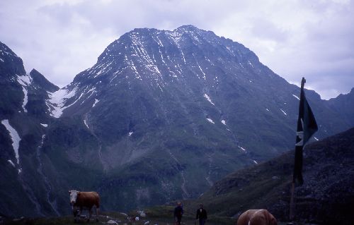 2000_Hochgolling_16.jpg