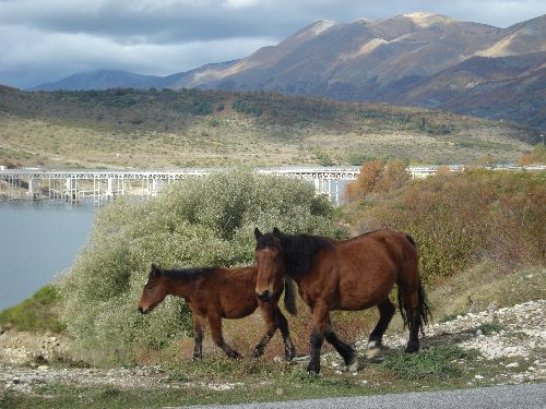 Abruzzen_Italien_2011_08.jpg