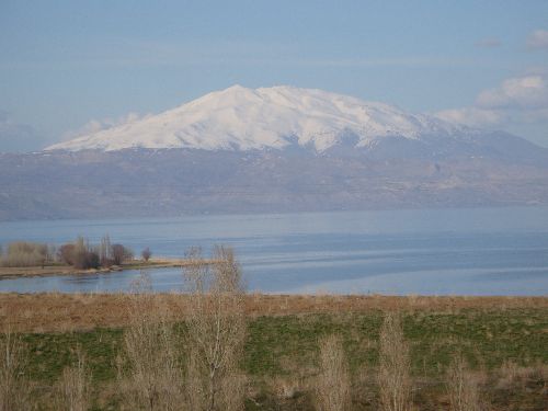 Ararat_2014_13.jpg