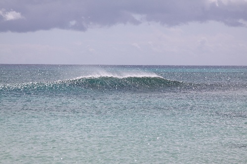 Fuerteventura_2011_38.jpg