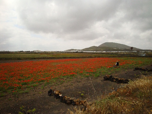 Lanzarote_2009_05.JPG