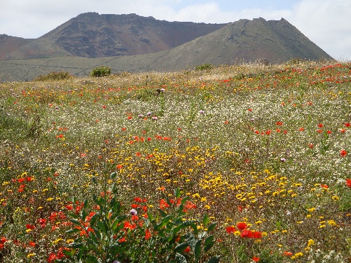 Lanzarote_2009_11.JPG