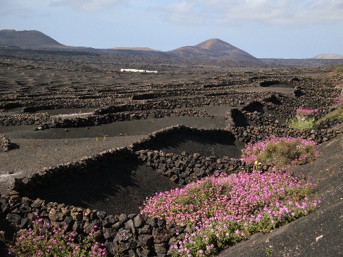 Lanzarote_2009_19.JPG