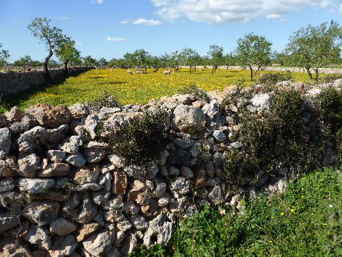 Mallorca_2014_05.jpg Mallorca_2014_05.jpg