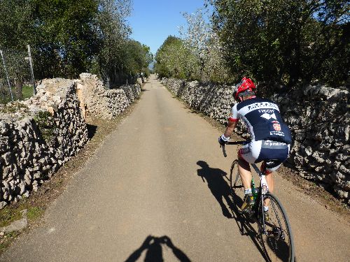 Mallorca_2014_08.jpg Mallorca_2014_08.jpg