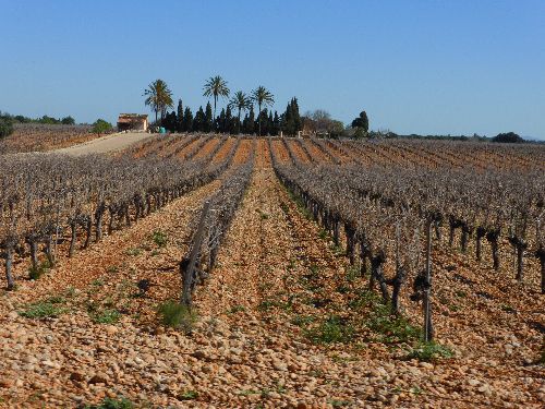 Mallorca_2014_09.jpg Mallorca_2014_09.jpg