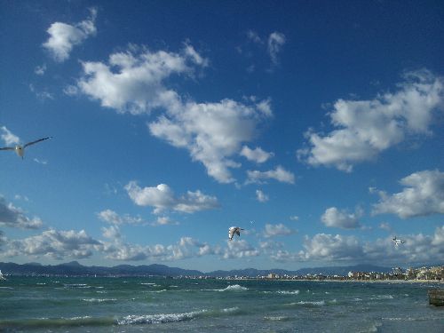 Mallorca_2014_28.jpg Mallorca_2014_28.jpg