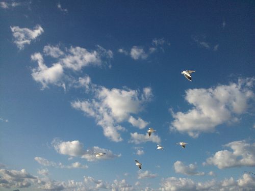 Mallorca_2014_29.jpg Mallorca_2014_29.jpg