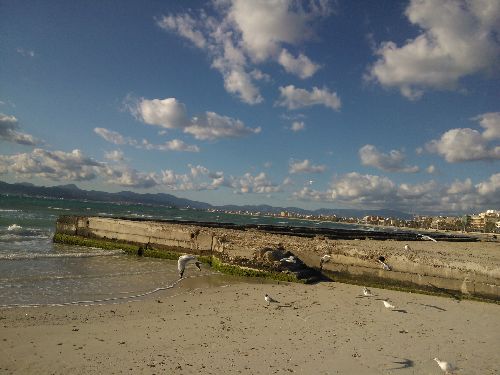 Mallorca_2014_30.jpg Mallorca_2014_30.jpg