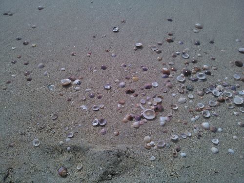 Mallorca_2014_33.jpg Mallorca_2014_33.jpg