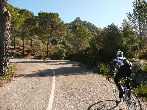 Mallorca_Jaenner_2013_10.jpg