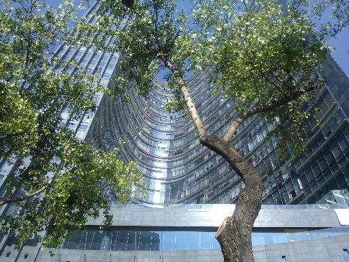 Mexiko_2014_04.jpg Mexiko_2014_04.jpg