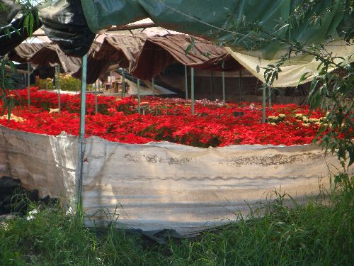 Mexiko_2014_37.JPG Mexiko_2014_37.JPG