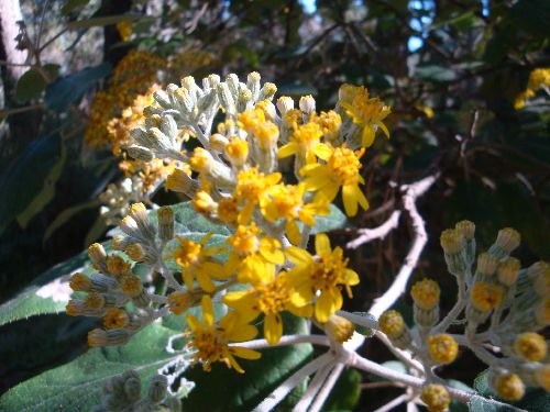 Mexiko_2014_42.JPG Mexiko_2014_42.JPG