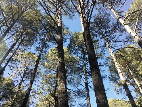 Mexiko_2014_43.jpg Mexiko_2014_43.jpg