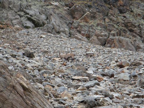 Schobergruppe_2014_31.jpg Schobergruppe_2014_31.jpg