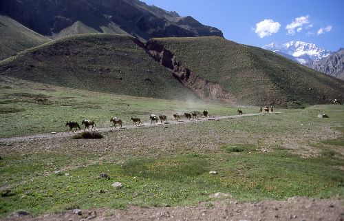 Suedamerika-Argentinien_2000_07.jpg Suedamerika-Argentinien_2000_07.jpg