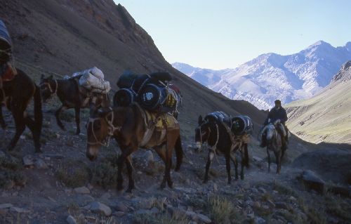 Suedamerika-Argentinien_2000_08.jpg Suedamerika-Argentinien_2000_08.jpg