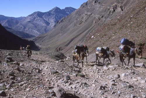 Suedamerika-Argentinien_2000_09.jpg Suedamerika-Argentinien_2000_09.jpg