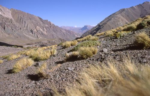 Suedamerika-Argentinien_2000_11.jpg Suedamerika-Argentinien_2000_11.jpg