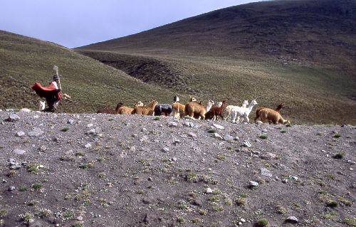 Suedamerika-Ecuador_2001_17.jpg