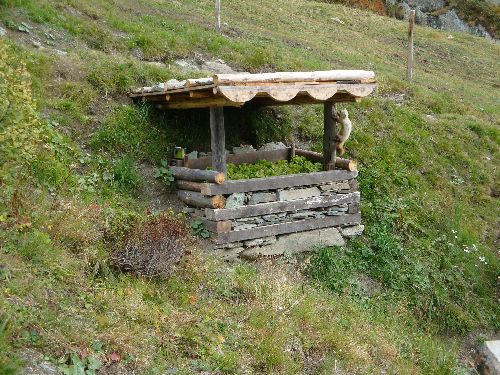 Venedigergruppe_2014_05.jpg Venedigergruppe_2014_05.jpg