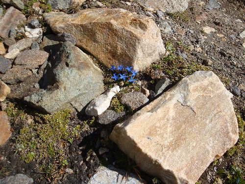 Venedigergruppe_2014_28.jpg Venedigergruppe_2014_28.jpg