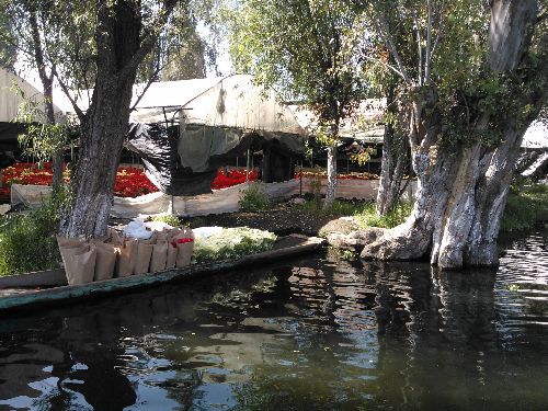 Weihnachten_2014_07.jpg Weihnachten_2014_07.jpg