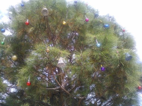 Weihnachten_2014_09.jpg Weihnachten_2014_09.jpg